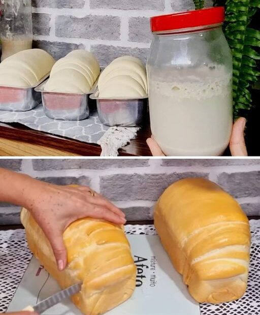 Fermento Caseiro do zero muito fácil de fazer