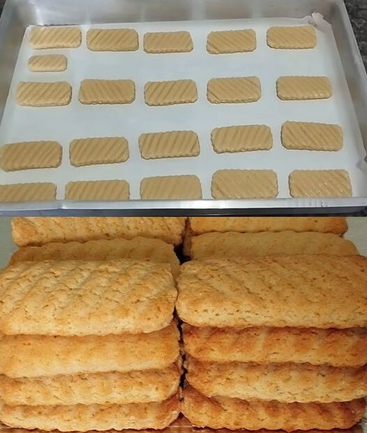 Bolachinhas de leite, essa receita é ótima para o lanche da tarde
