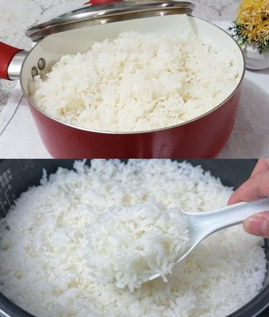 É um grande erro adicionar apenas água para cozinhar o arroz, deixa eu te ensinar qual é o segredo