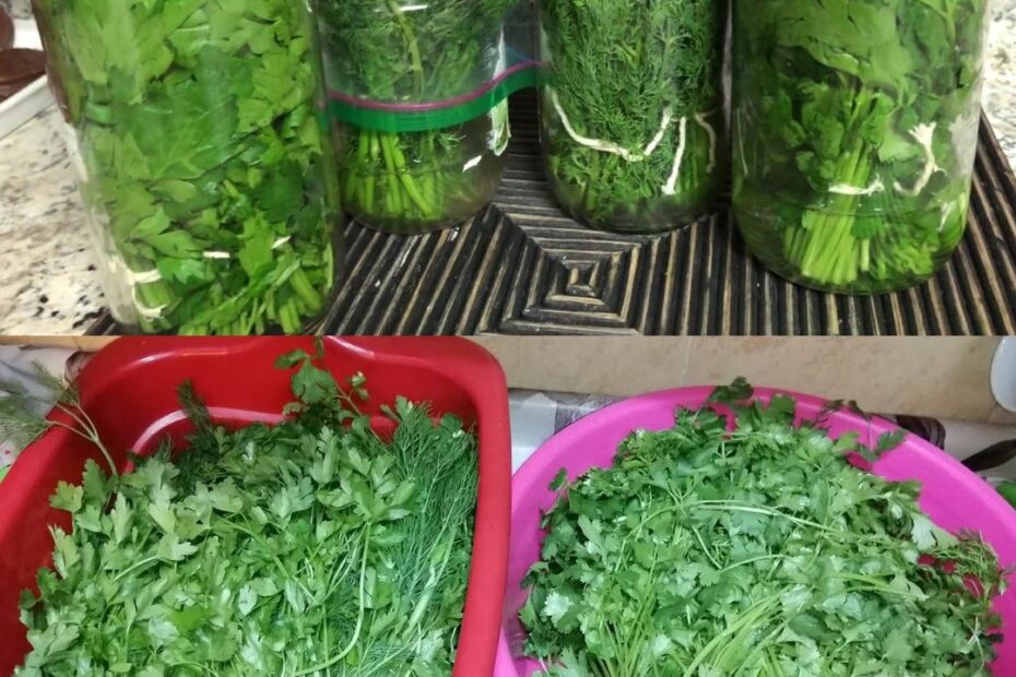 Assim se guarda a salsa e ela fica fresca por um ano: o método do chef