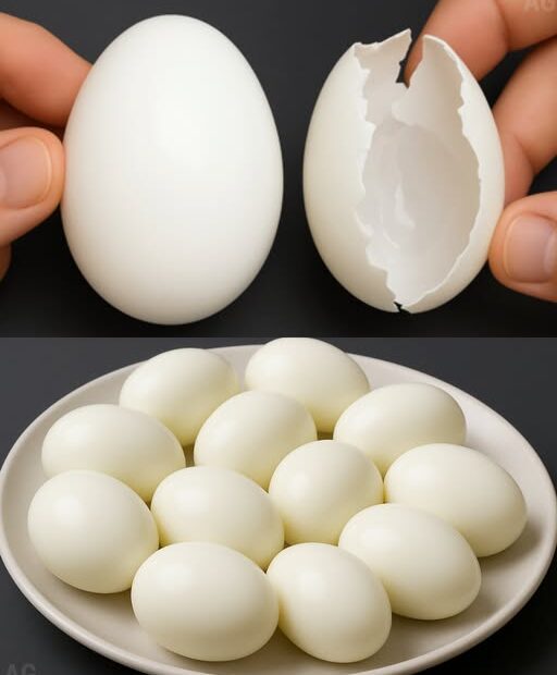 NÃO COZINHE os ovos diretamente na água! Esse é o SEGREDO dos restaurantes!