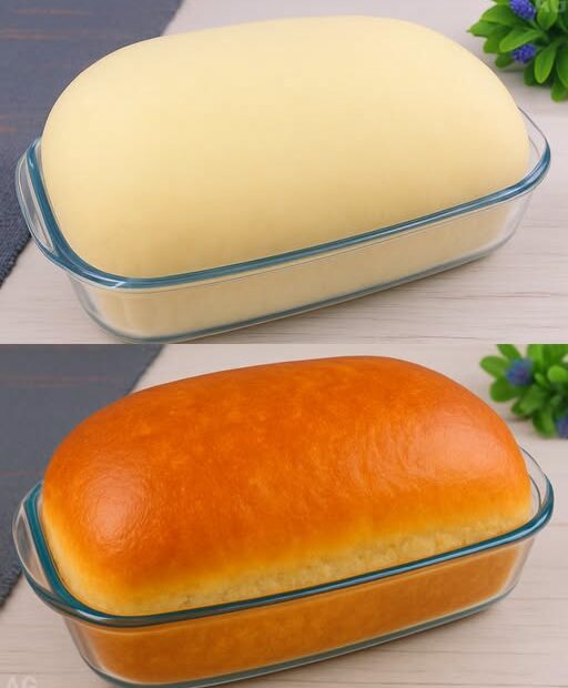 Pão de 1kg! Ensinei todos os meus amigos a fazer o pão mais rápido e fácil!